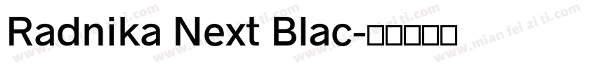 Radnika Next Blac字体转换